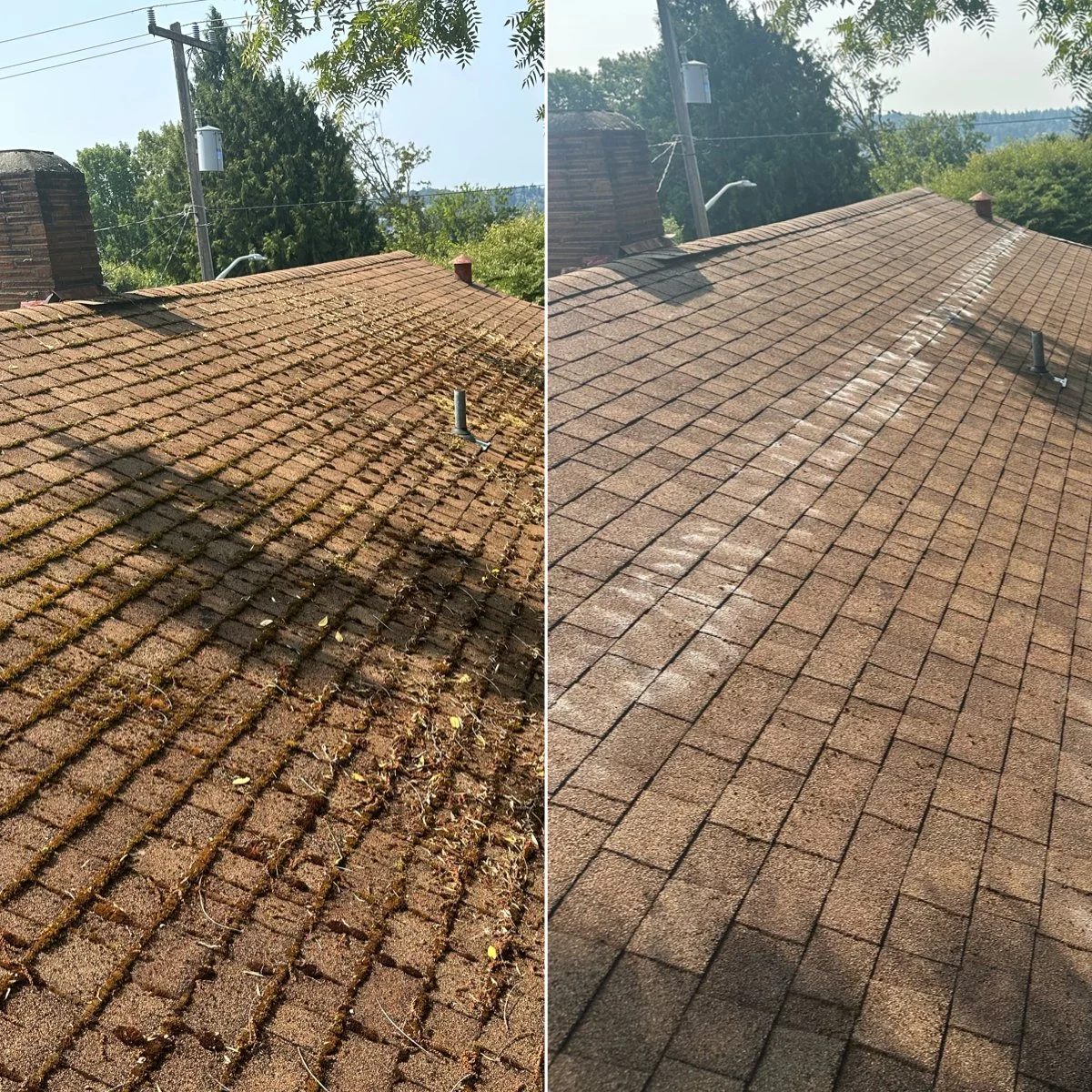 Side-by-side comparison of a Vashon Island asphalt shingle roof: debris-covered and darkened on the left, clean shingles on the right after treatment